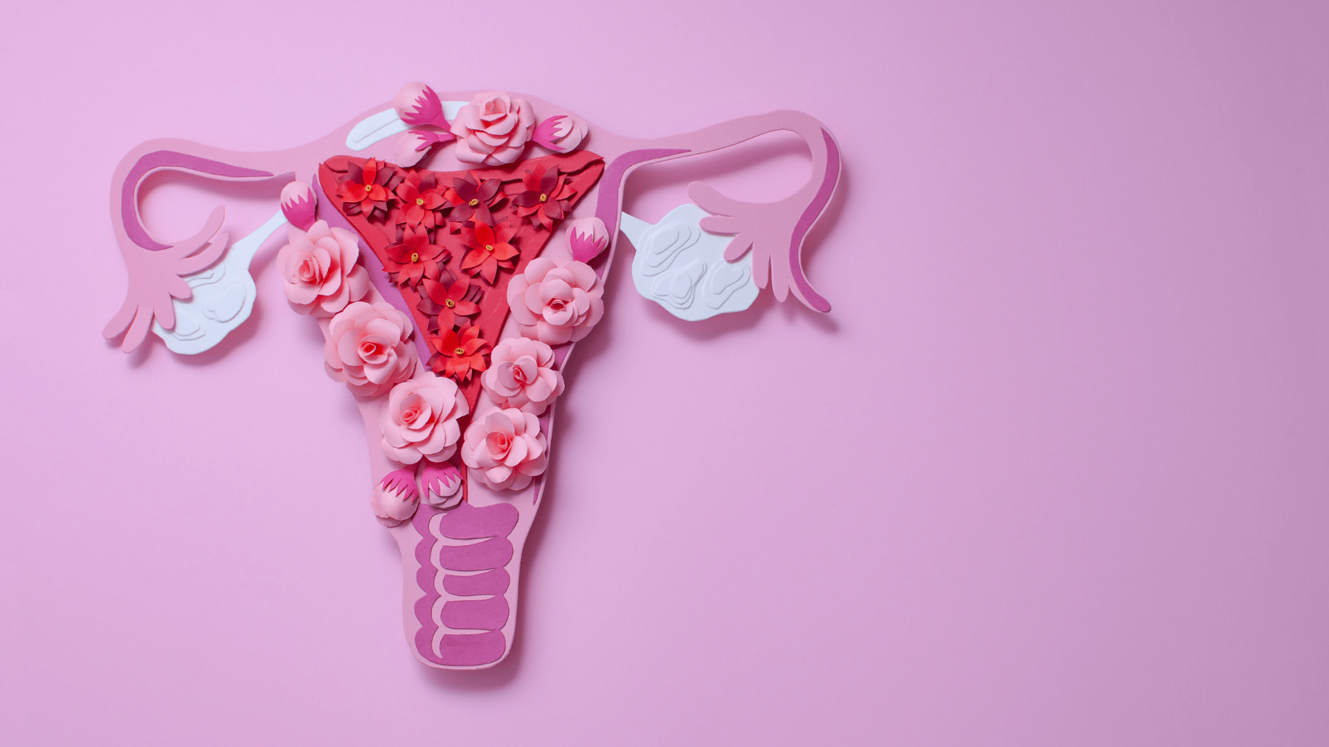 Cervical health - Fertitude