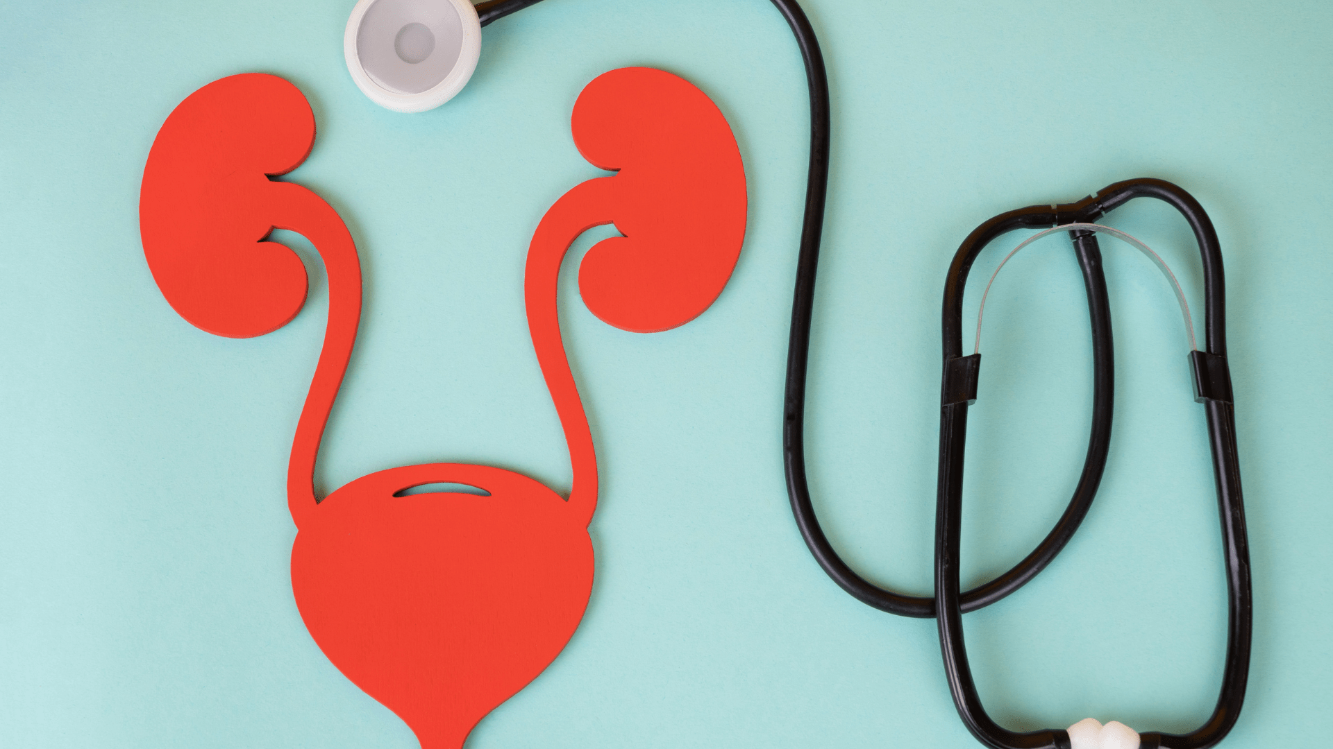 UTI TREATMENT - FERTITUDE