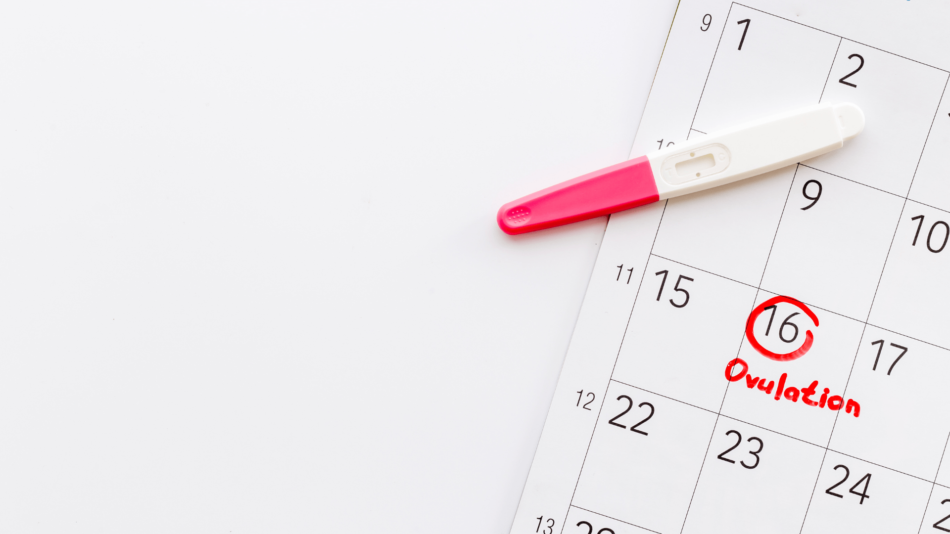 understanding ovulation